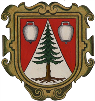 Wappen der Gemeinde Schoppernau